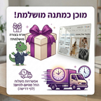 SearchGlass™ - הופכים אתכם לערך בוויקיפדיה | מתנה מקורית ואישית
