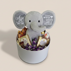 בובת פיל עם תעודת לידה לבן או לבת